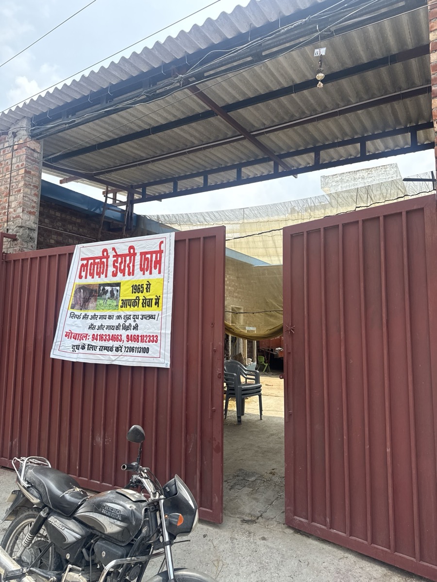 Lucky Dairy Farm Outer Red Gate Landmark in Village Pipli Kurukshetra